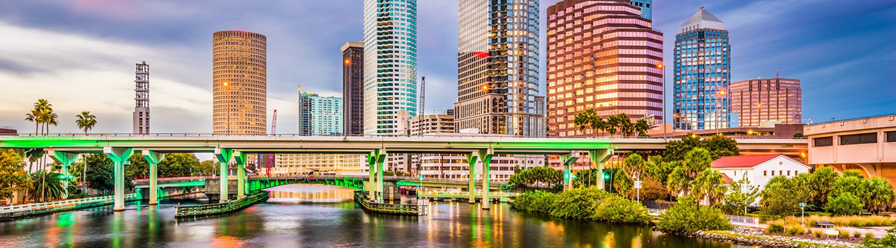 Tampa city view