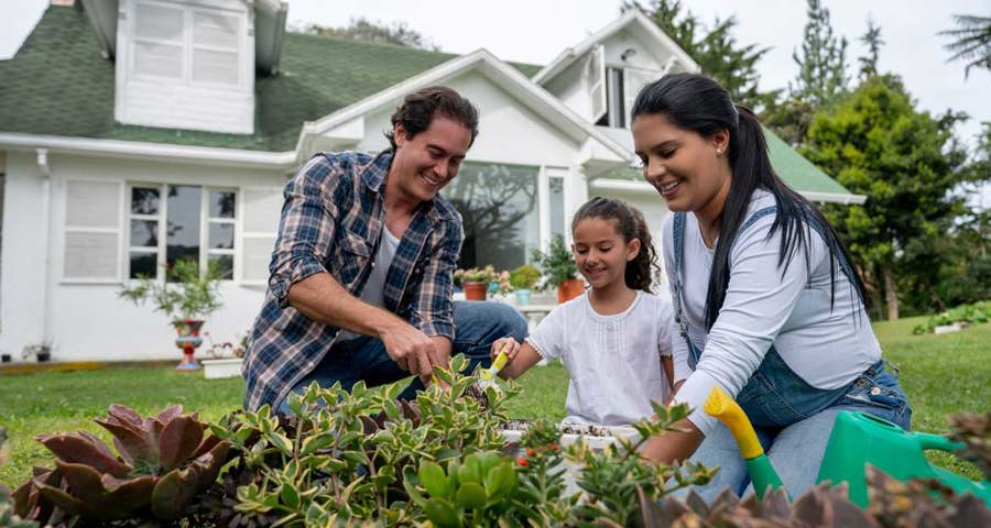 Spring and Summer Homeowner Tips